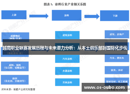 越南职业联赛发展历程与未来潜力分析：从本土俱乐部到国际化步伐